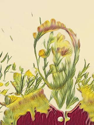 James Proctor