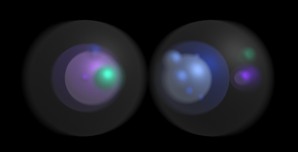 Sets of nested transparent spheres representing the proportion of strains present in the microbiom of two subjects.